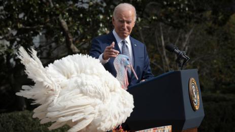 байдън пуйки