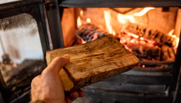 печка на дърва - ДА ПОМИСЛИМ ЗА ТОПЛОТО: Колко дърва ще ни трябват и колко ще ни струват тази зима?