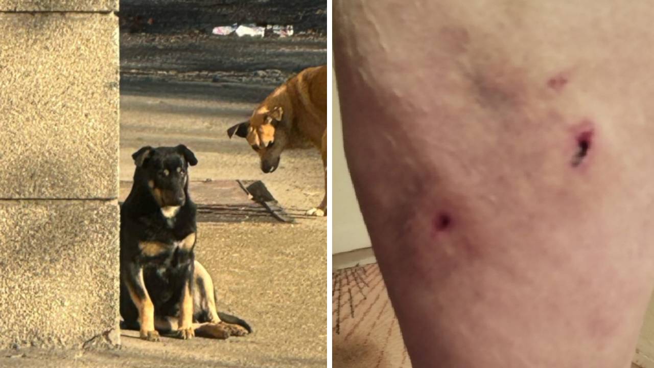 Елисавета Начева