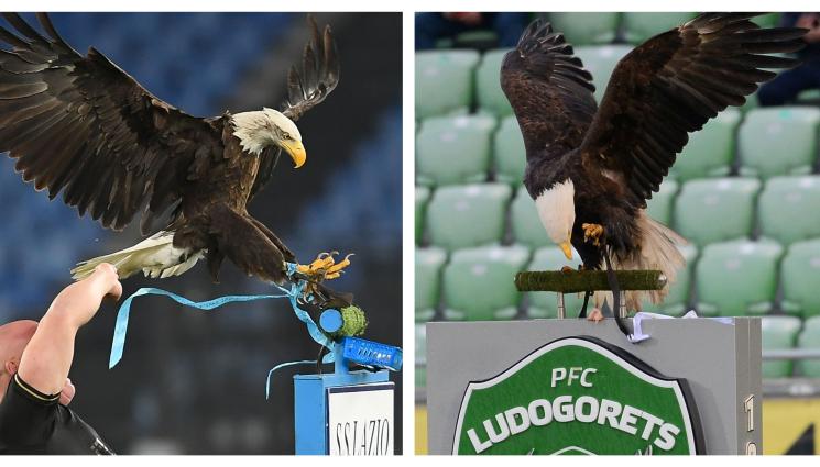 Орлите на Лацио и Лудогорец - 3-ма от римските „орли” под въпрос за сблъсъка с разградските братовчеди
