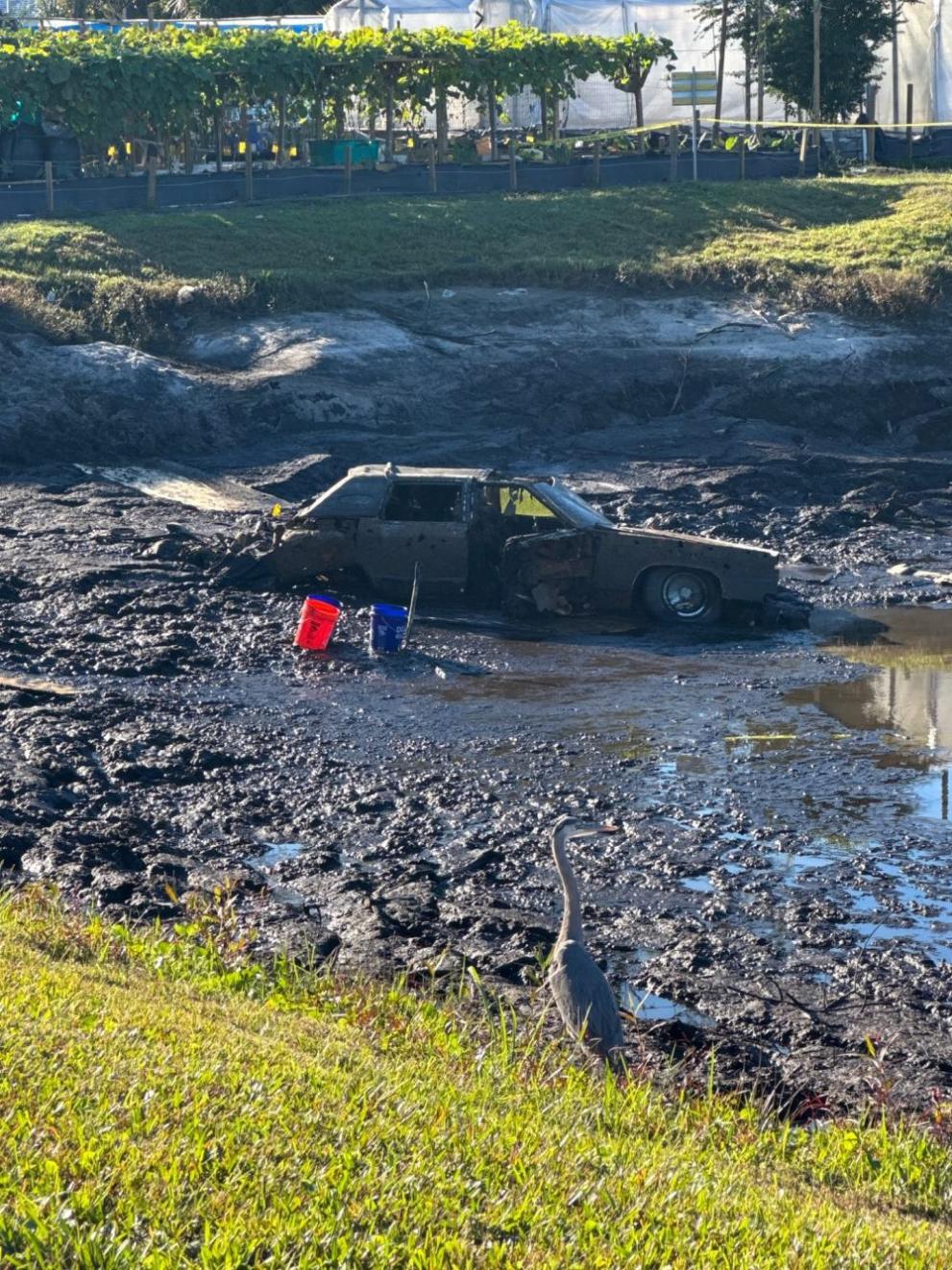  изчезнало семейство 