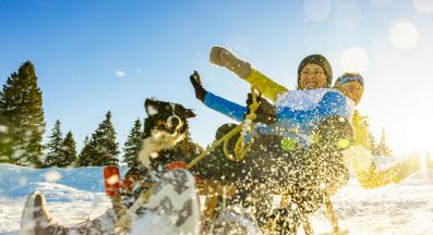 куче сняг забава