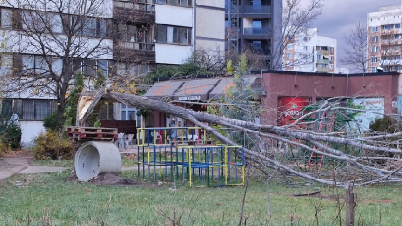 Студентски блок