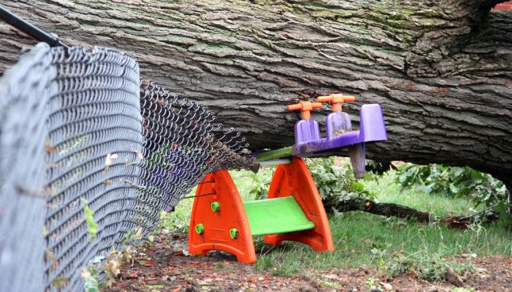 дърво детска площадка - МАЛКИЯТ ДЯВОЛ: Дърво се сгромоляса върху детска площадка! (СНИМКА)