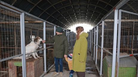 приют за бездомни животни