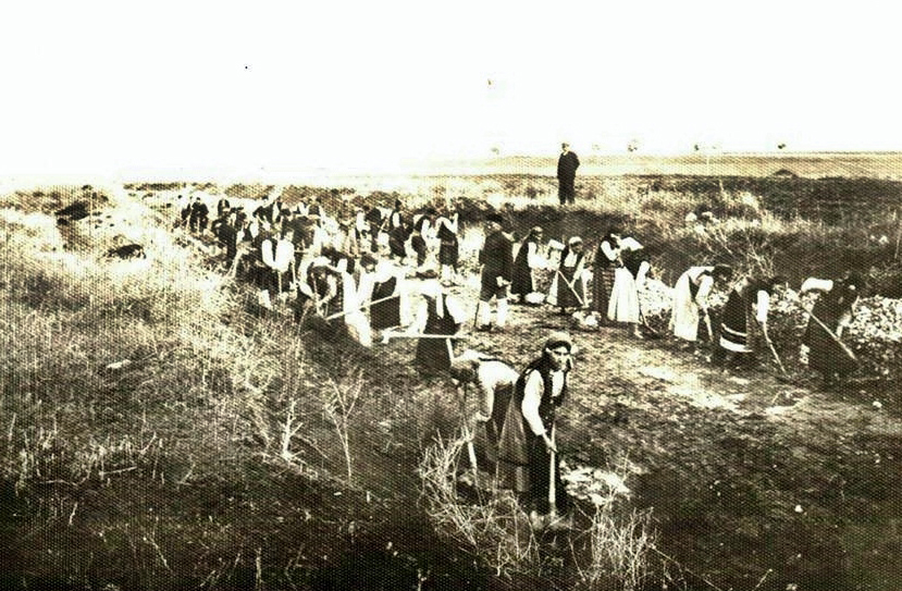 стари кадри