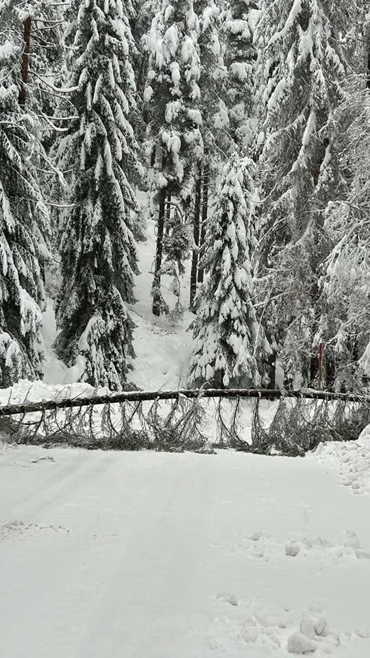 Банско Шилигарника