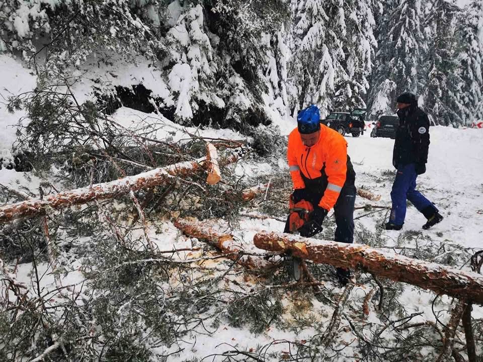 Банско Шилигарника