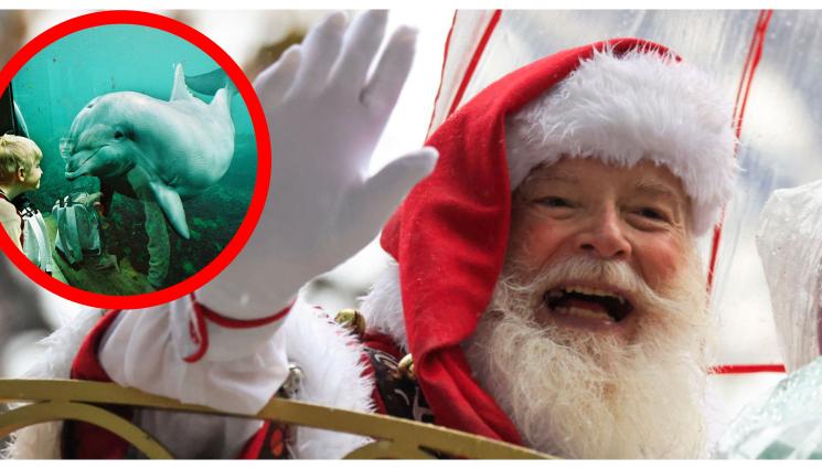 дядо коледа делфини - ДЯДО КОЛЕДА ПОДРАНИ: Делфинариумът във Варна с изненада за най-малките