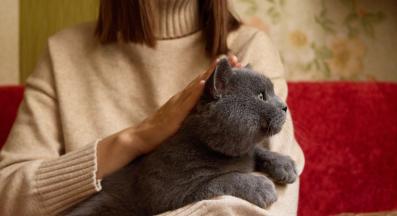 котка и стопанин