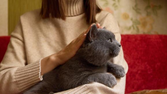 Защо котката ми се обляга върху мен?