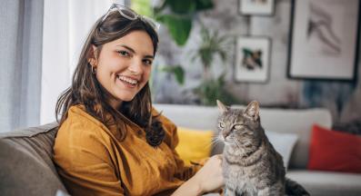 домашна котка