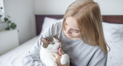 домашна котка