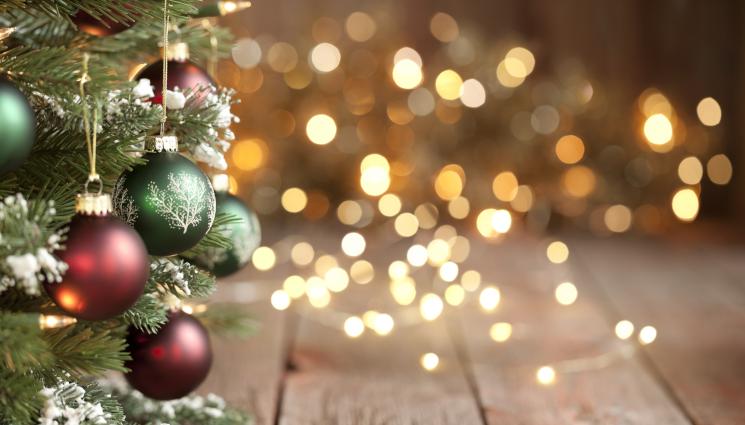 коледна елха