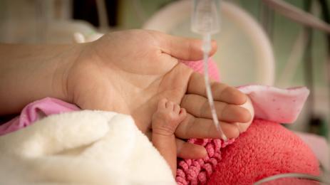 недоносено бебе