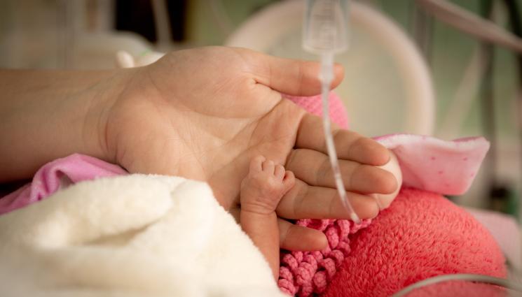 недоносено бебе - МАЛКИТЕ ГОЛЕМИ ГЕРОИ: Недоносени бебета красят благотворителен календар