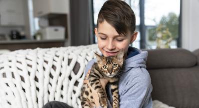 домашна котка