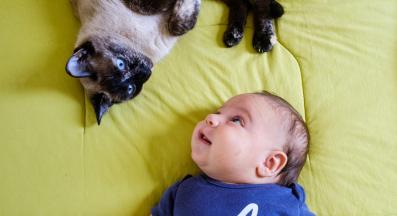 котка и бебе