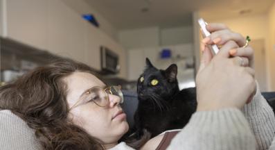 домашна котка