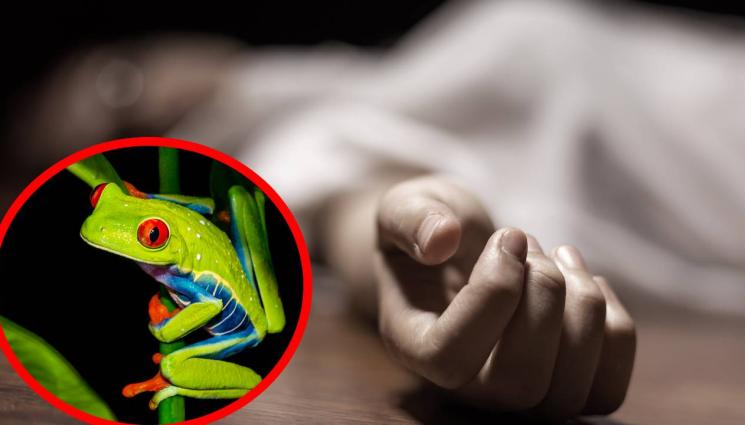жаба - УЖАСЯВАЩА СМЪРТ: Актриса почина след консумация на отвара от маймунска жаба!
