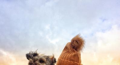 куче разходка