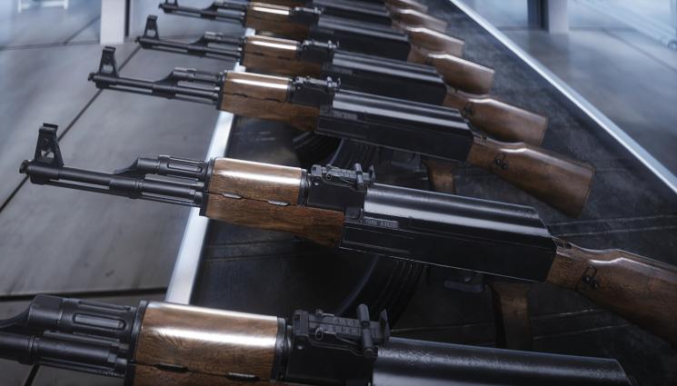 Калашников - УДАРЪТ НА ГДБОП: Оръжия за малка армия