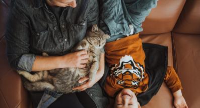 домашна котка