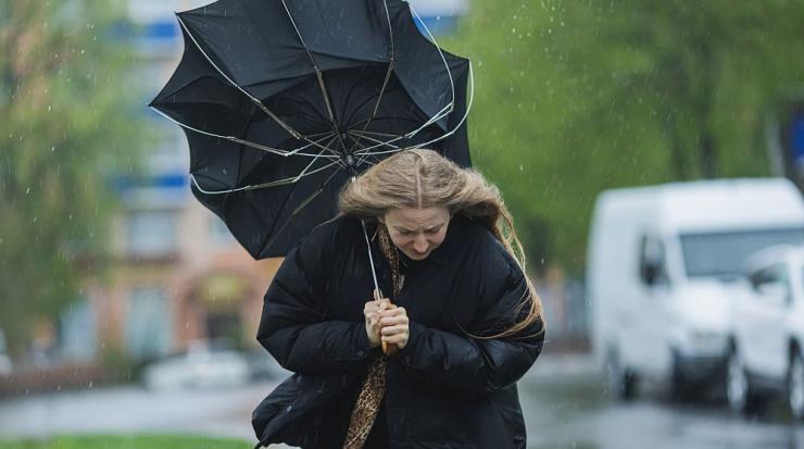 сняг дъжд и вятър