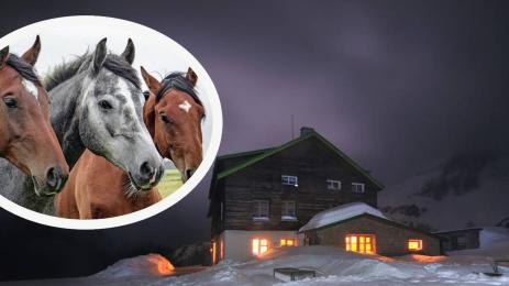 коне хижа рай