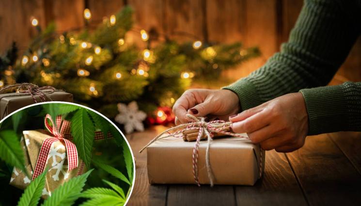 д - ВЕСЕЛИ ПРАЗНИЦИ: Дядо Коледа прати подаръци, пълни с 25 кила марихуана и хашиш