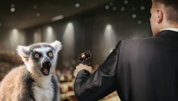 търг аукцион - СЛЕД ТЪРГА С БАНАНА: Купиха стар чифт обувки за 32,5 милиона долара! (СНИМКА)