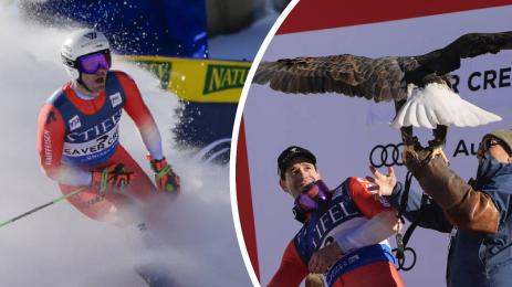 ски алпийски мъже