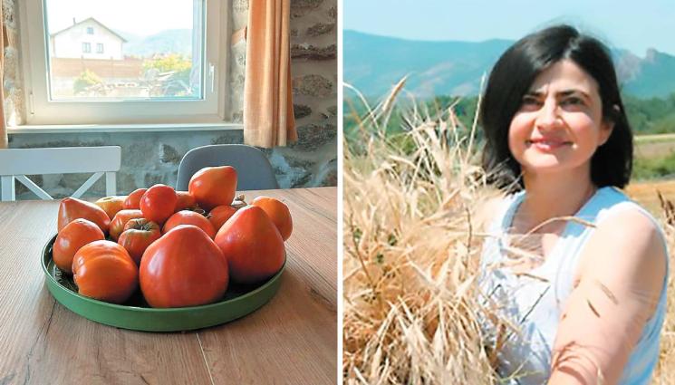 агро - Агро Телеграф: Пишат регламент срещу „Пазителите на семена“