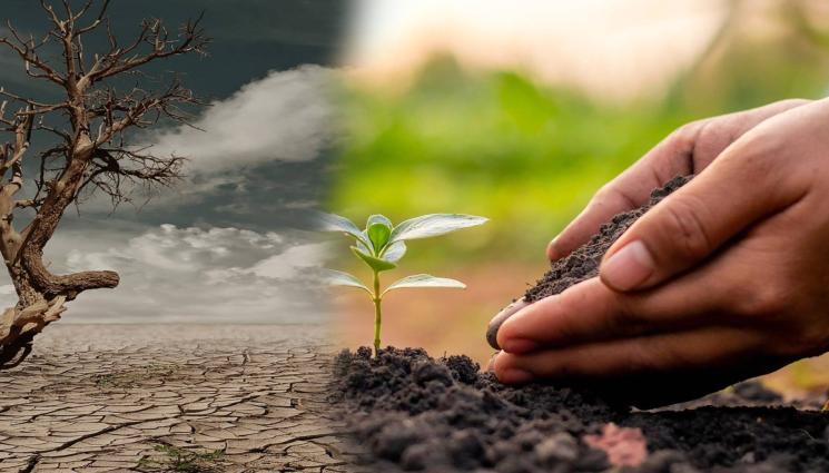 почва - Агро Телеграф: Защо е важно да пазим почвите