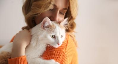 домашна котка и стопанка