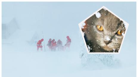 планина коте