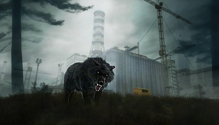 чернобил - КАТО В ХОРЪР: Кучета мутанти се заселиха в Чернобил!