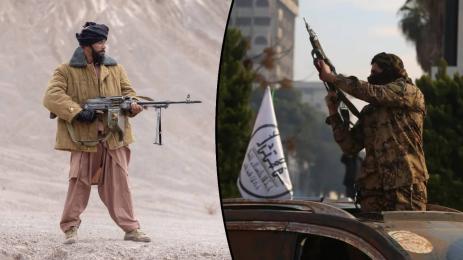 Сирия терорист