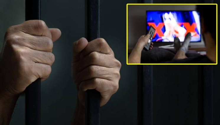 дд - ГНУСНО: Осъдиха топ журналист, гледал на живо порно с деца!