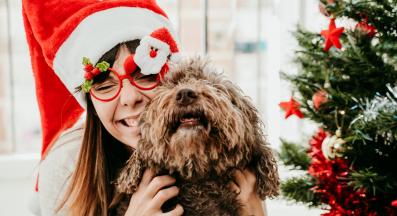 куче човек обич