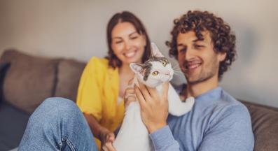 котка със стопани