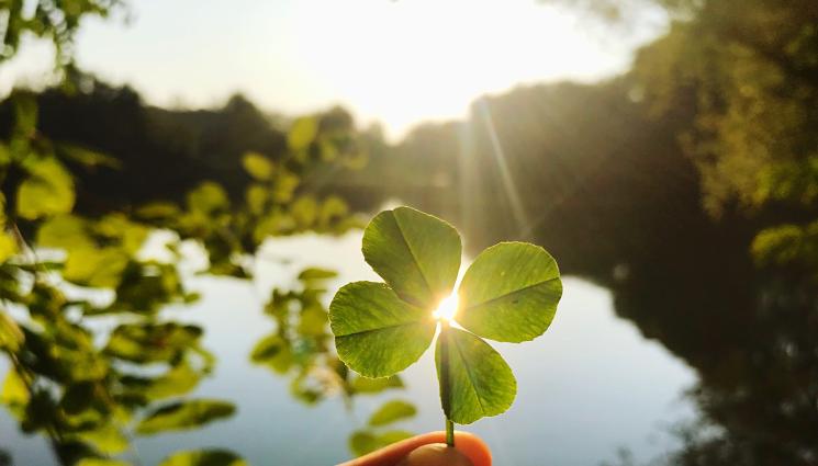 суеверия - Вярвате ли в суеверията?!