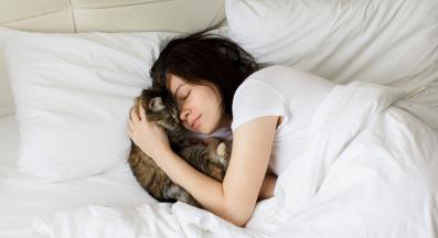 домашна котка