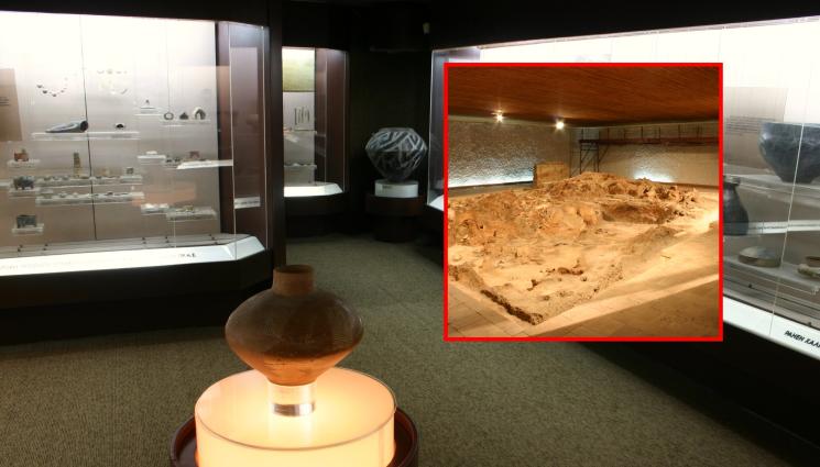 прачовек - ЗА 140 БОНА: Домът на прачовека влиза в компютъра