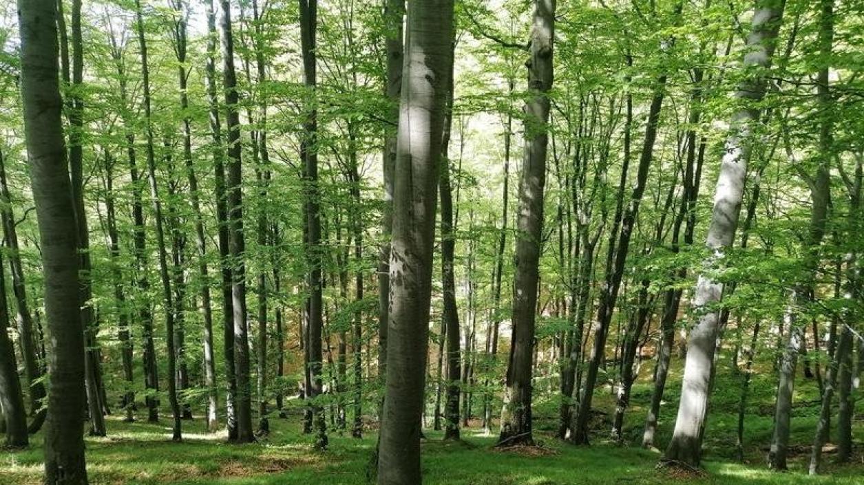 Нови защитени местности в България