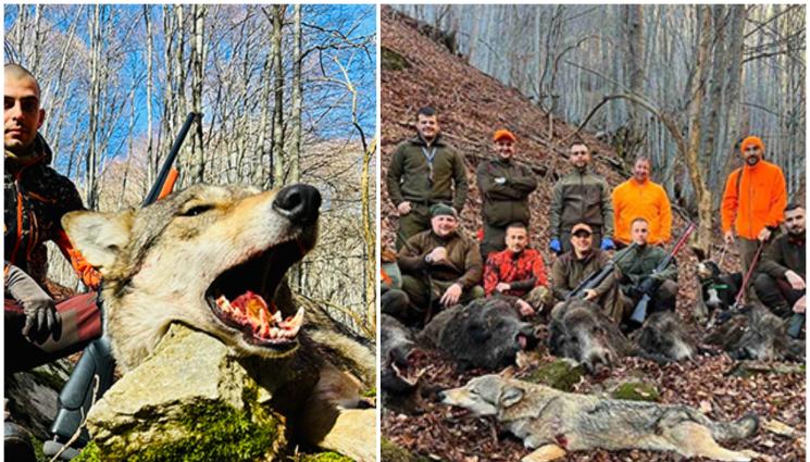 глигани - НЕОБИКНОВЕНА СЛУКА: Седем глигана паднаха в една гонка