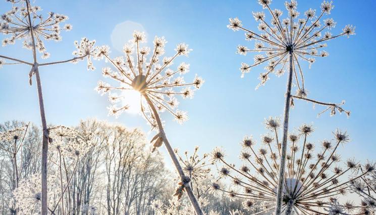 слънчева зима зима слънце прогноза време