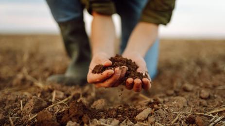 агро почва