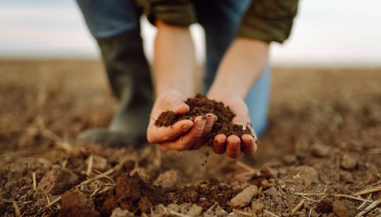 агро почва - Агро Телеграф: Расте влагата в почвата в края на есента!
