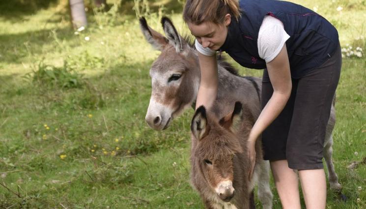  агро - ПЪРВО МЯСТО Пожарна охрана СКЪПОТИЯ: Броим няколко хилядарки за кило магарешко сирене! 